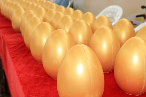 現代日用百貨城全新亮相，浙江食品市場再添消費新地標